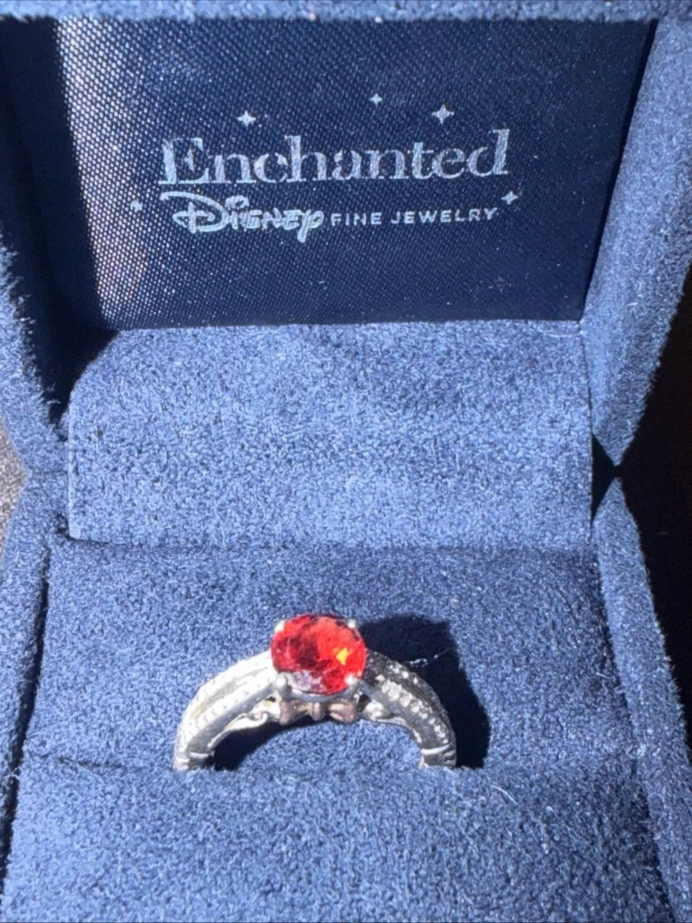 Disney pledge your